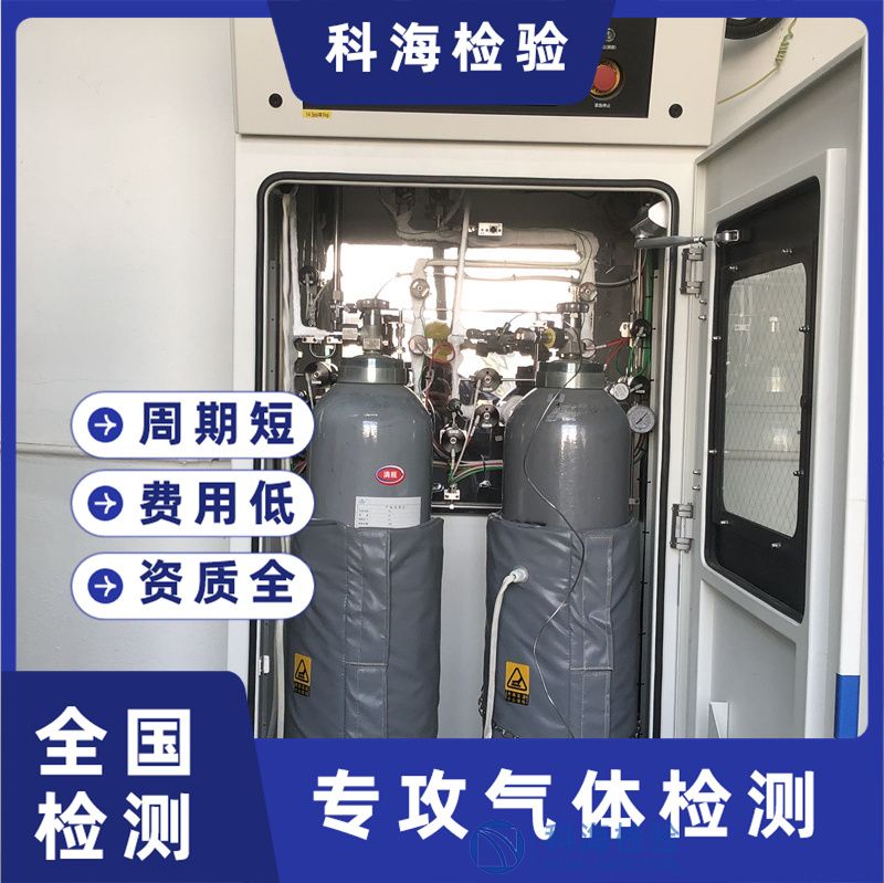 電子工業(yè)用氣體檢測